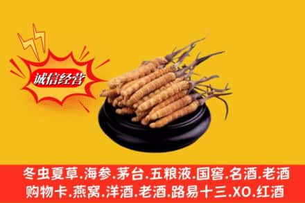 桑日县名酒回收冬虫夏草.jpg